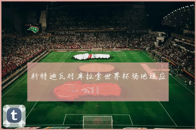 科特迪瓦对库拉索世界杯场地适应