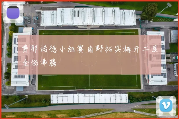 费耶诺德小组赛南野拓实梅开二度全场沸腾