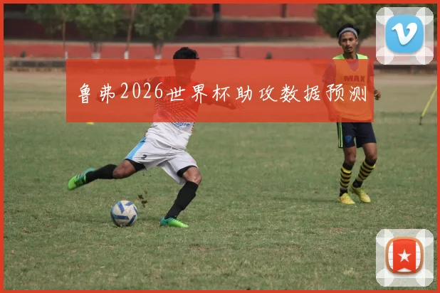 鲁弗2026世界杯助攻数据预测