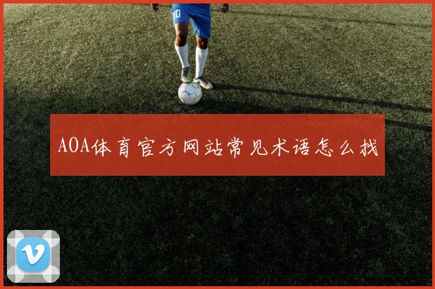 AOA体育官方网站常见术语怎么找