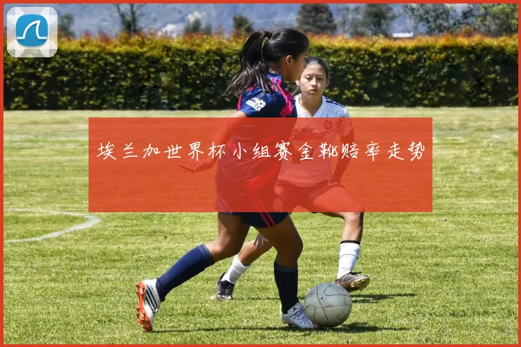 埃兰加世界杯小组赛金靴赔率走势