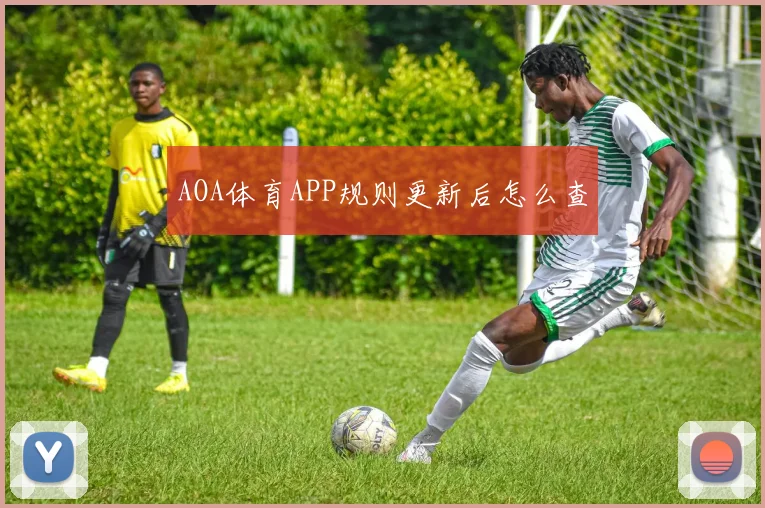 AOA体育APP规则更新后怎么查