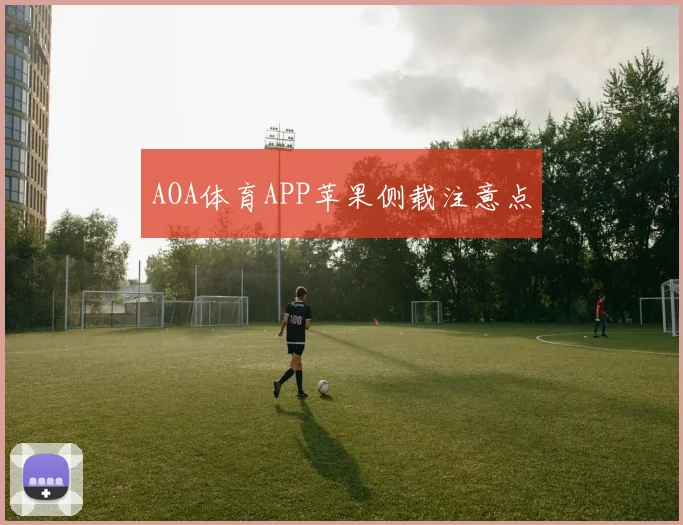 AOA体育APP苹果侧载注意点