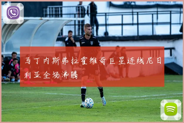 马丁内斯弗拉霍维奇巨星连线尼日利亚全场沸腾