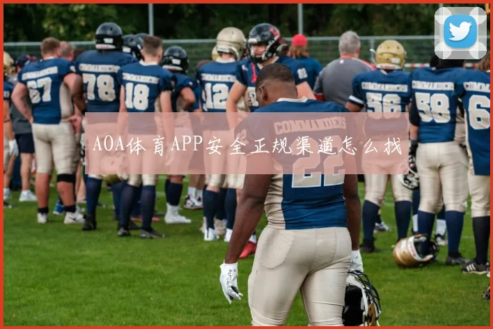 AOA体育APP安全正规渠道怎么找