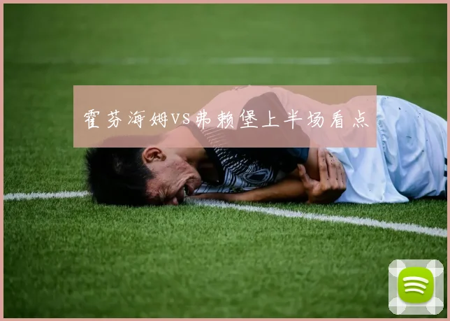 霍芬海姆vs弗赖堡上半场看点